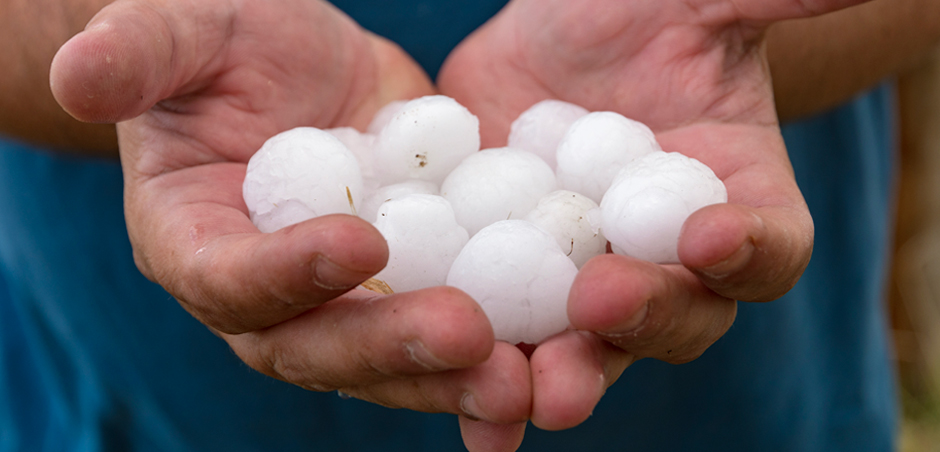 hail-large-1.jpeg