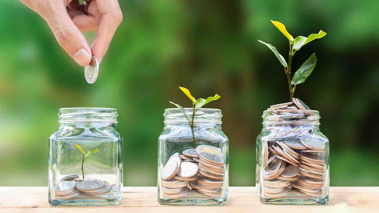 Life-Insurance-Fixed-Annuity.jpg