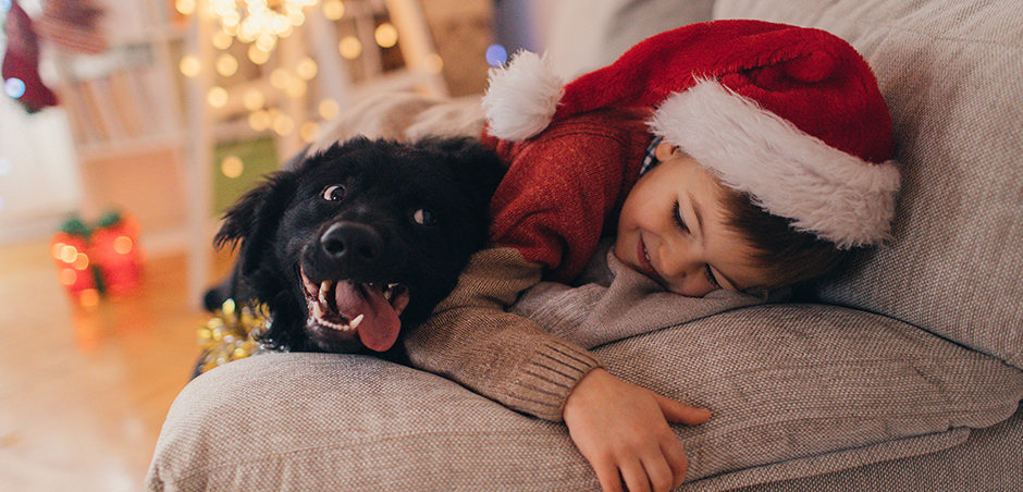 2021_eriesenseblog-holidaypet_lg.jpeg