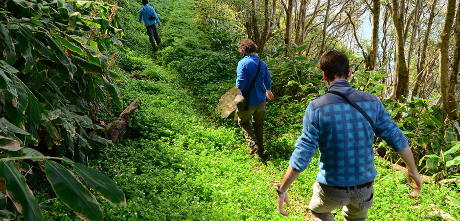best-hikes-large